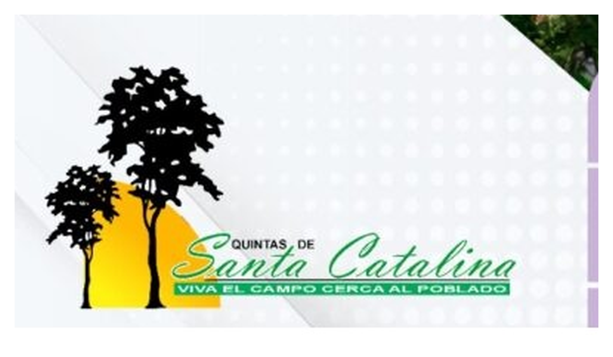 Logo Quintas de Santa Catalina